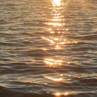 皇冠app下载安装免费下载